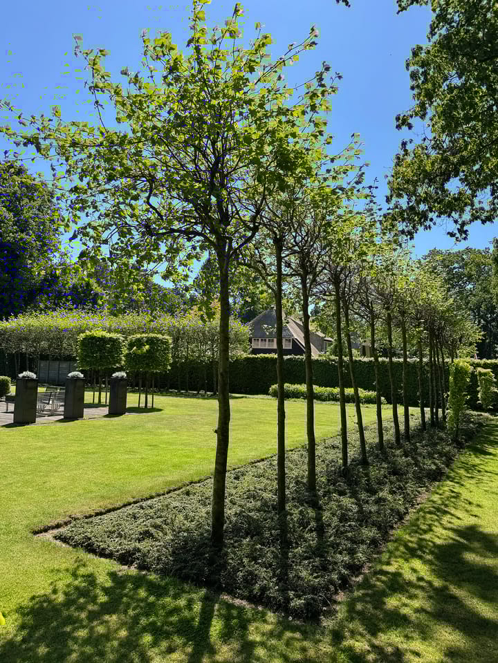 Foto 69 van Lariksweg 16