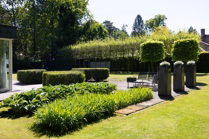 Foto 72 van Lariksweg 16