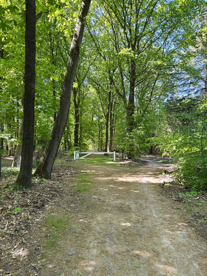 Foto 87 van Lariksweg 16