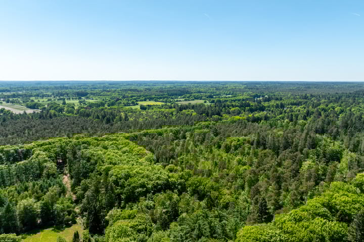 Foto 93 van Lariksweg 16