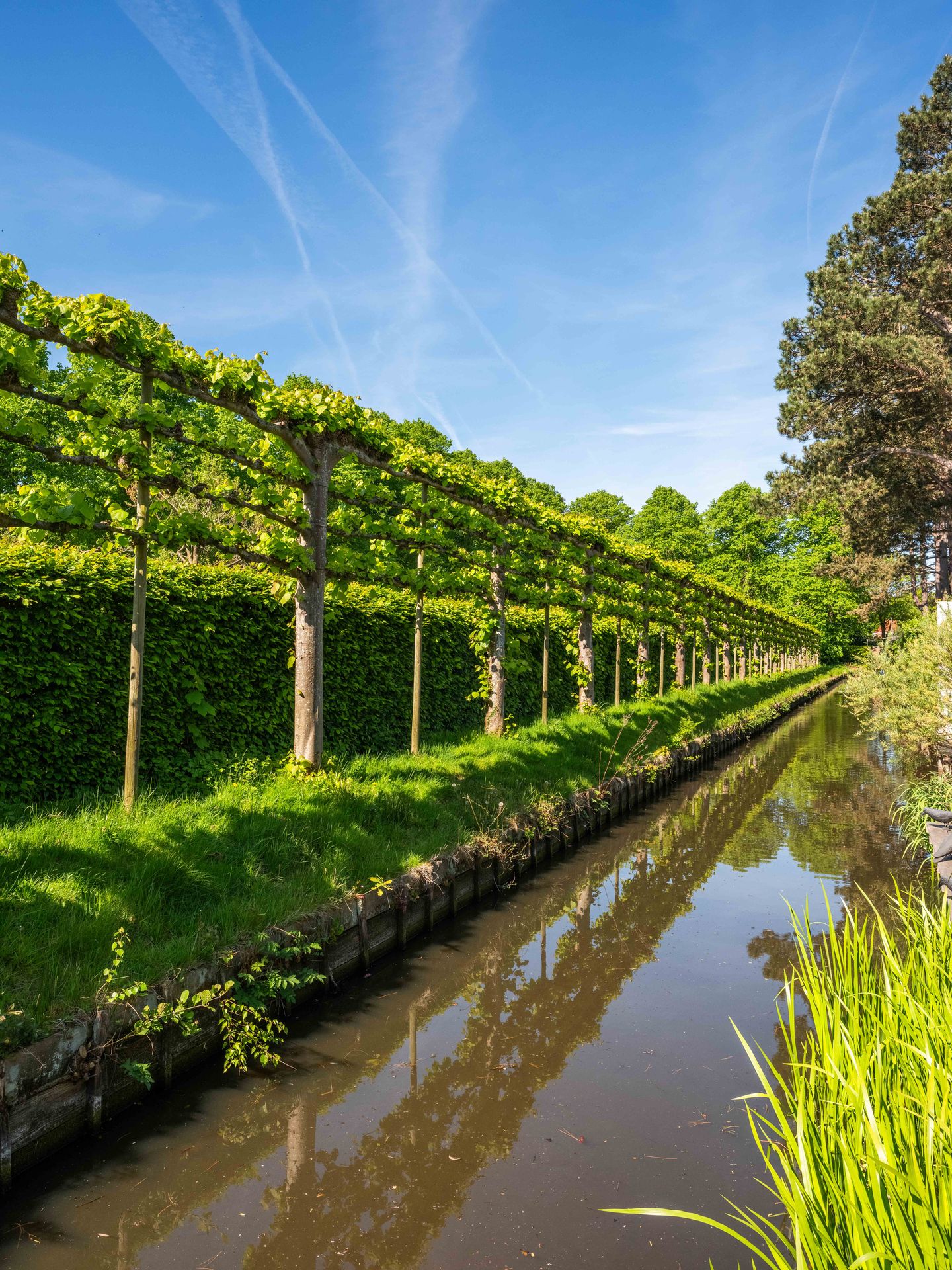 Foto 29 van Ursulinenlaan 16