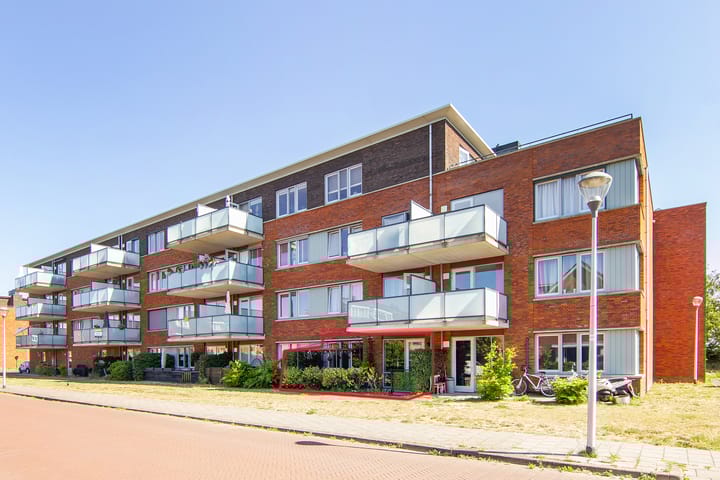 Foto 1 van Buxushaag 64