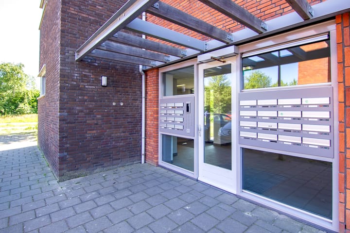 Foto 5 van Buxushaag 64