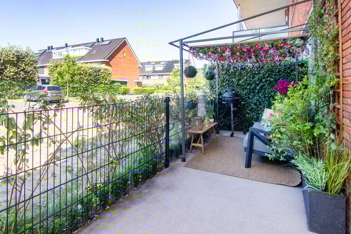 Foto 21 van Buxushaag 64