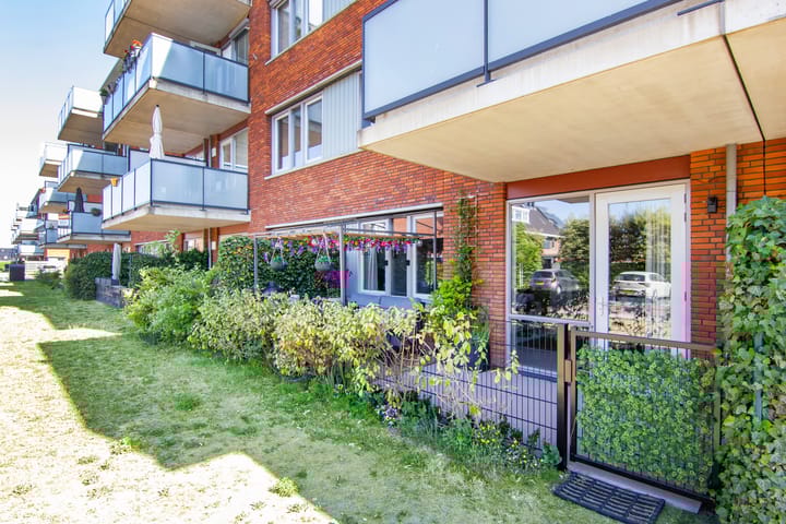 Foto 23 van Buxushaag 64