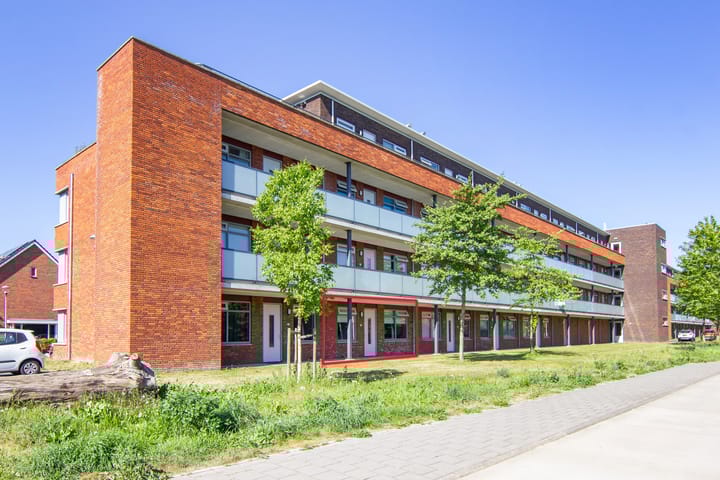 Foto 40 van Buxushaag 64