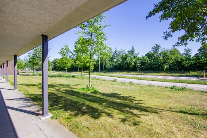 Foto 41 van Buxushaag 64