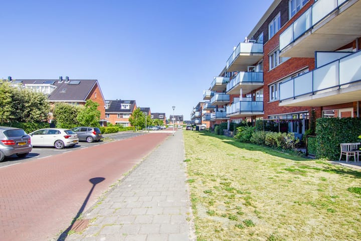 Foto 42 van Buxushaag 64