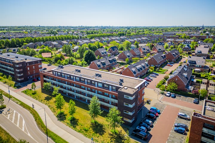 Foto 43 van Buxushaag 64