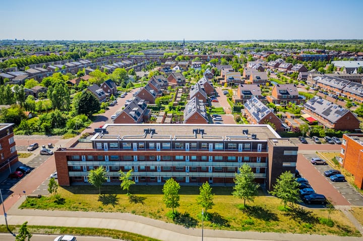 Foto 44 van Buxushaag 64