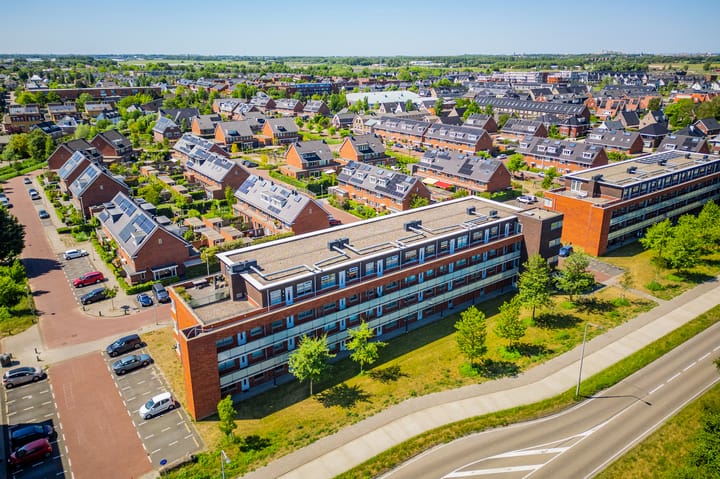 Foto 45 van Buxushaag 64