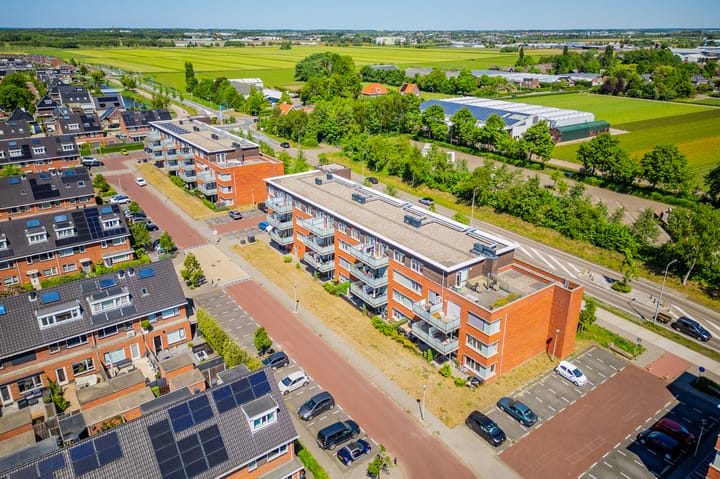 Foto 46 van Buxushaag 64