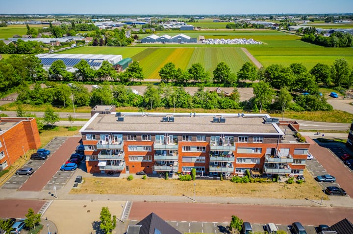 Foto 47 van Buxushaag 64