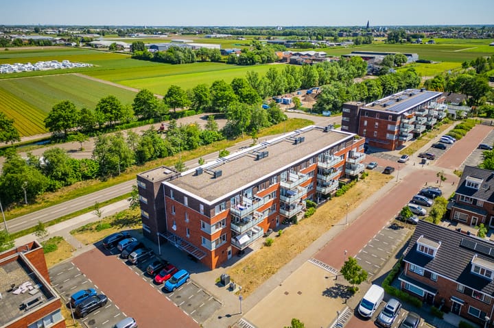 Foto 48 van Buxushaag 64