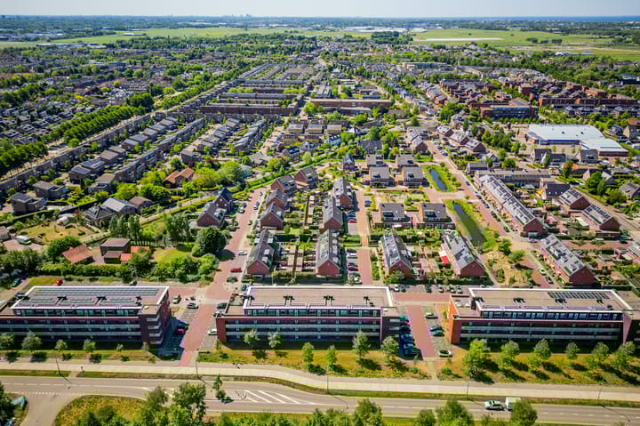 Foto 50 van Buxushaag 64