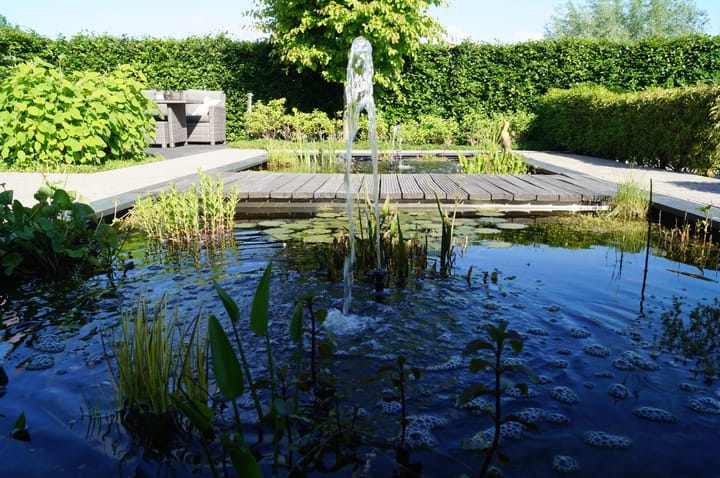 Foto 40 van Noord 16