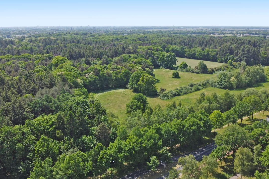 Foto 38 van Burgemeester van Grotenhuisstraat 7