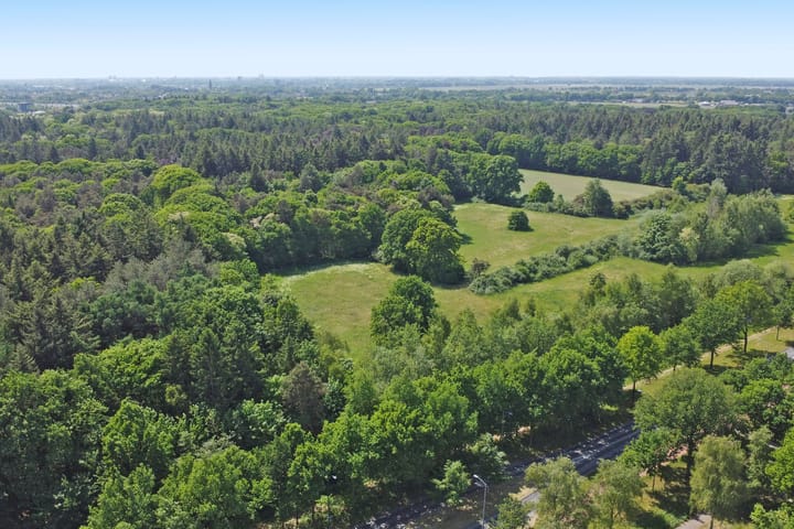 Foto 38 van Burgemeester van Grotenhuisstraat 7