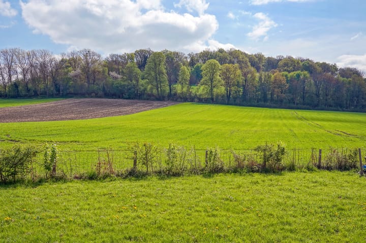 Foto 7 van Pesaken 3