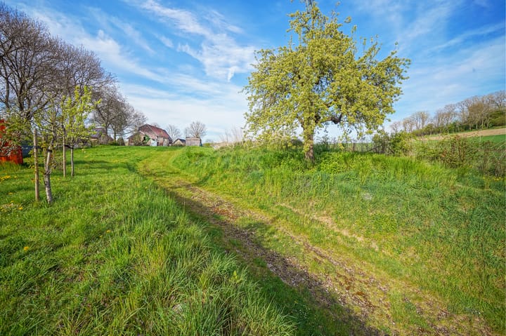 Foto 10 van Pesaken 3