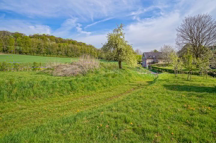 Foto 11 van Pesaken 3