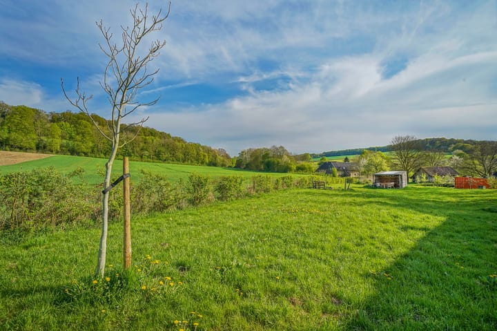 Foto 13 van Pesaken 3