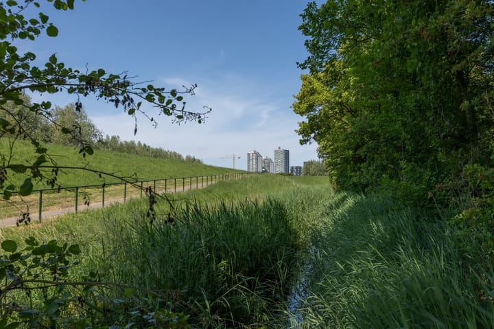 Foto 35 van Schakelweg 124