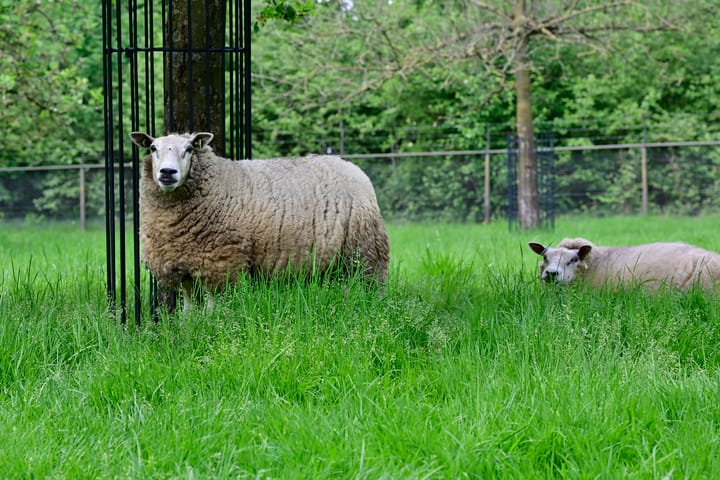 Foto 62 van Stationsweg 12