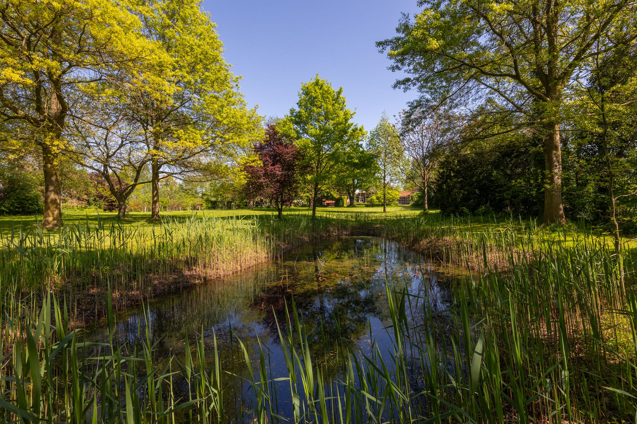 Photo 9 of Dwarsdijk 7