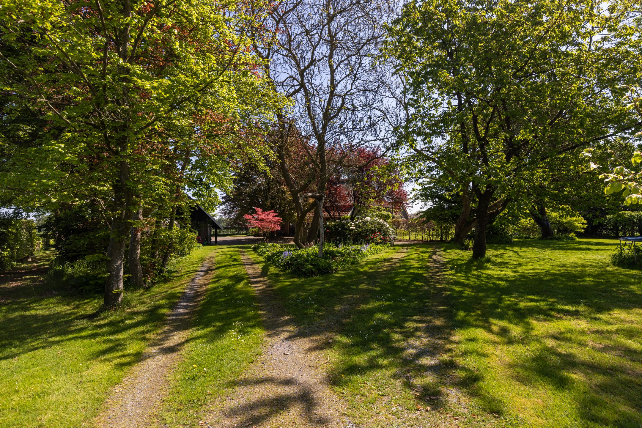 Photo 12 of Dwarsdijk 7