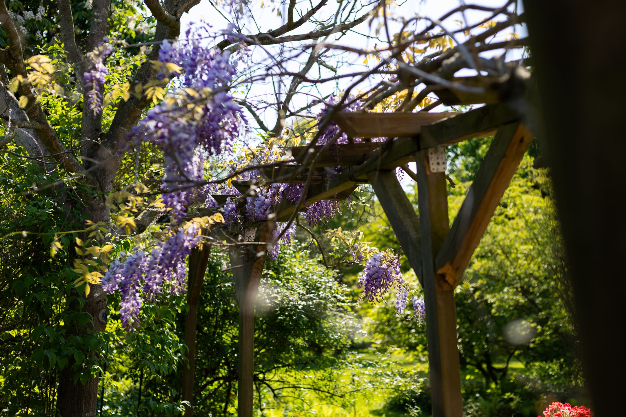 Photo 57 of Dwarsdijk 7