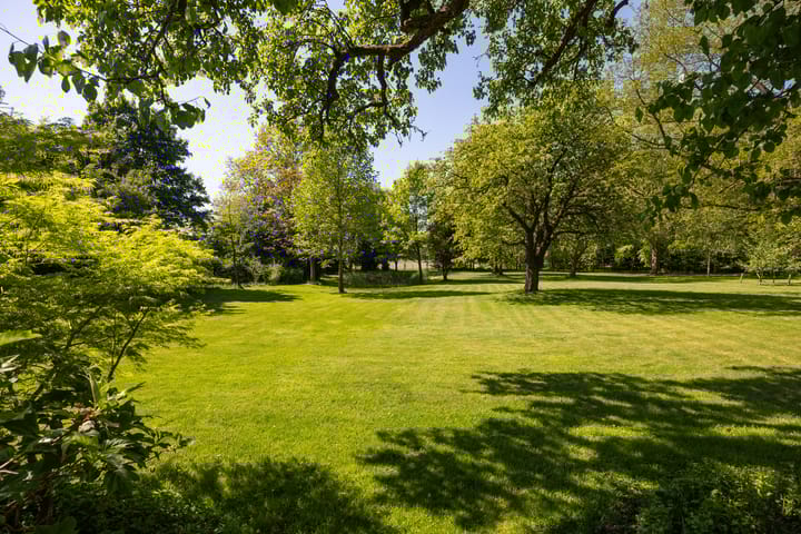 Foto 59 van Dwarsdijk 7