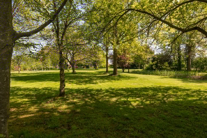 Foto 60 van Dwarsdijk 7