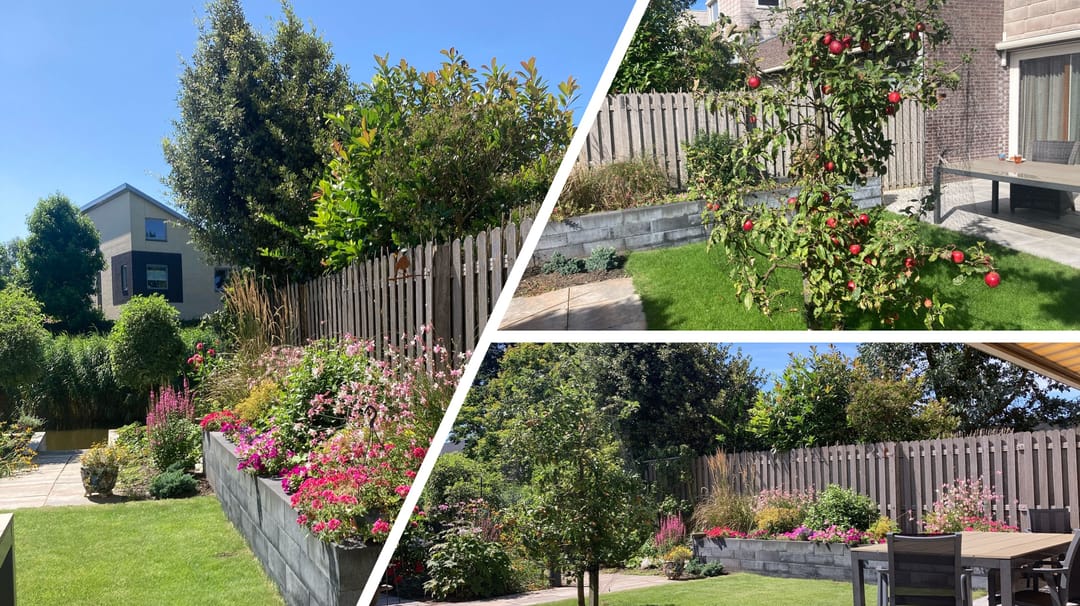 Foto 23 van Duijves Weer 10