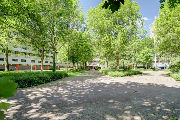 Foto 31 van Dokter van Stratenweg 209