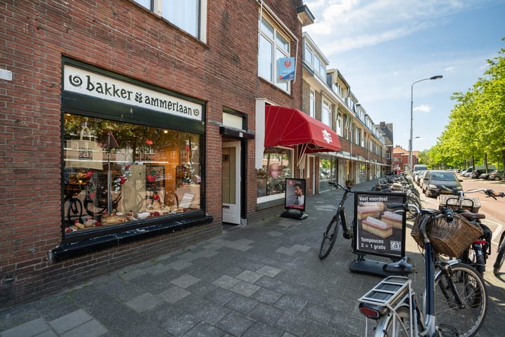 Foto 32 van Van Hallstraat 8