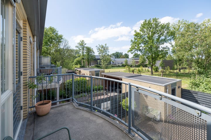 Foto 26 van Lupineveld 12