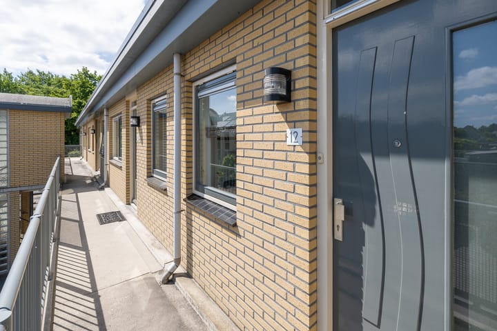 Foto 31 van Lupineveld 12