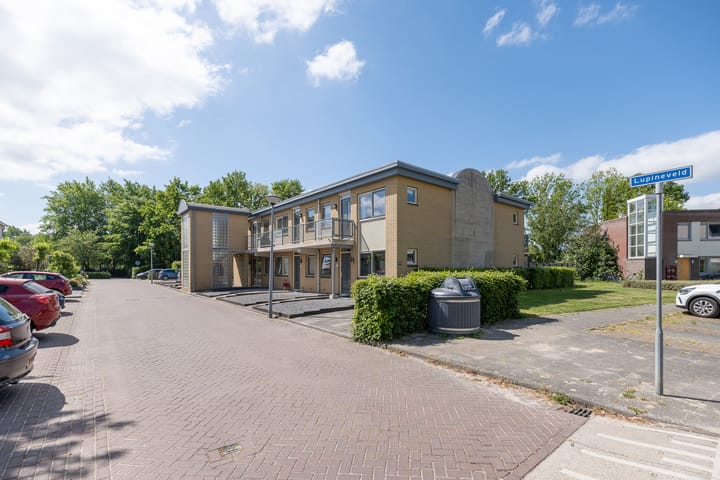 Foto 35 van Lupineveld 12