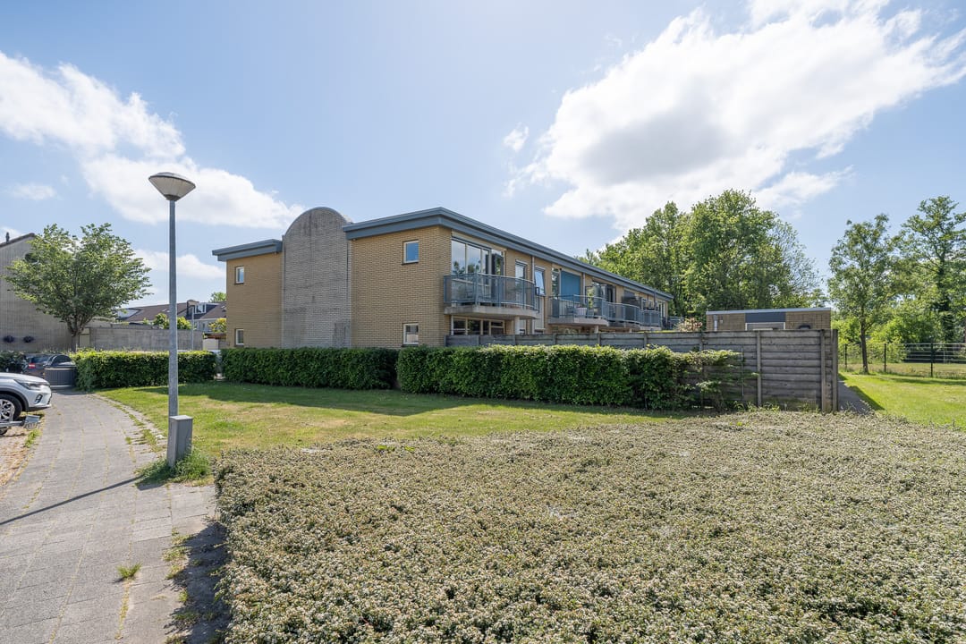 Foto 38 van Lupineveld 12