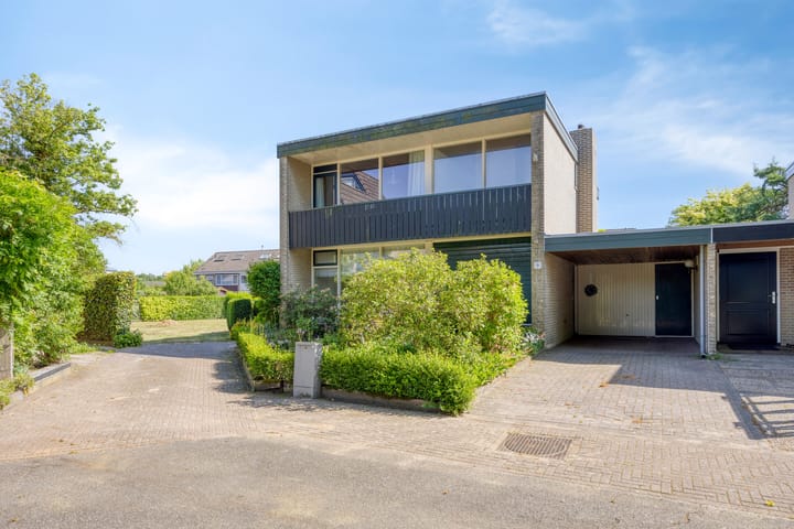 Foto 1 van Bluisterplein 9