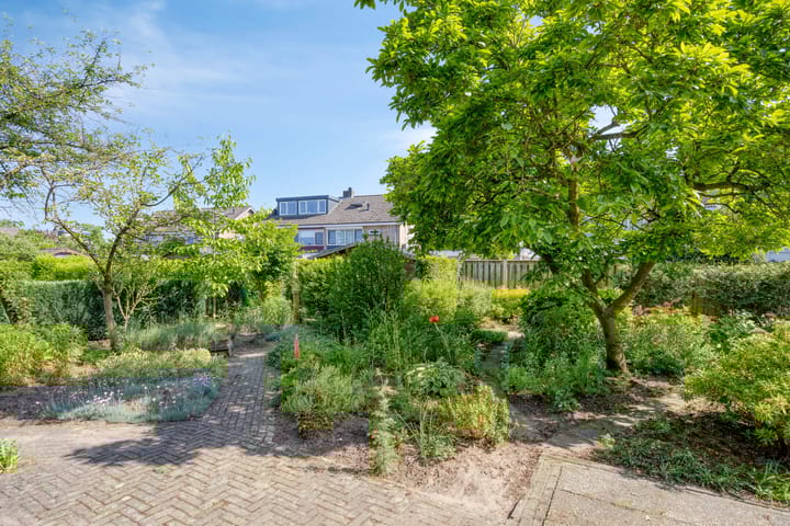 Foto 35 van Bluisterplein 9