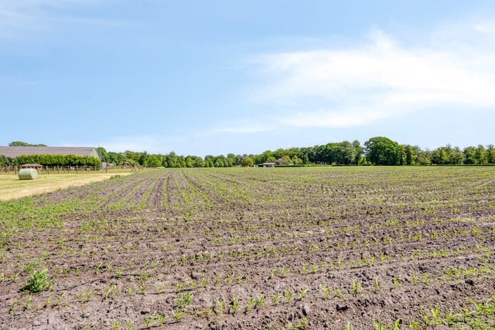 Foto 44 van Bluisterplein 9