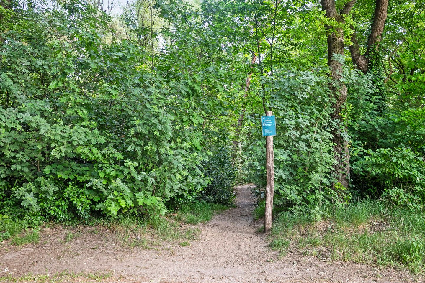 Foto 50 van Pieter Mondriaanstraat 4