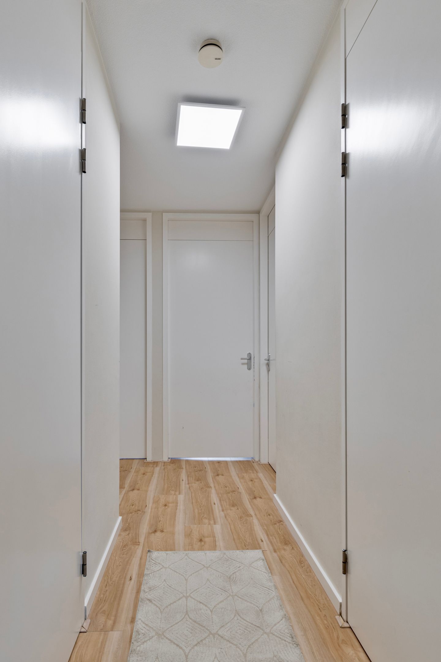 Foto 15 van Pieter van der Werfstraat 169