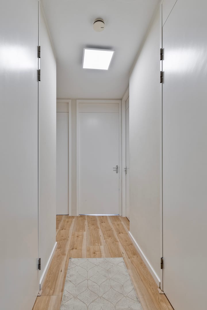 Foto 15 van Pieter van der Werfstraat 169