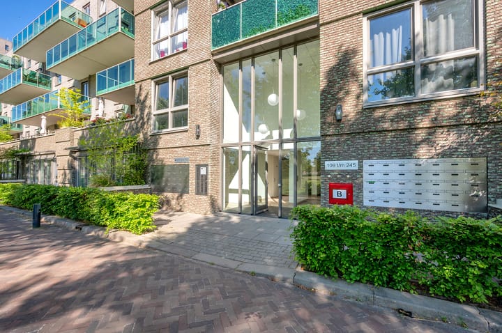 Foto 3 van Buenos Airesstraat 233