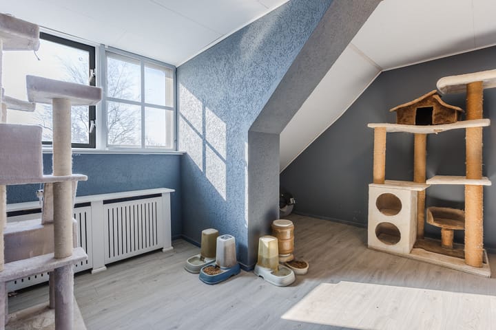 Foto 52 van Molenstraat 106