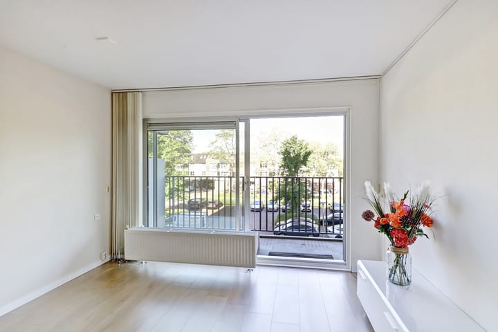 Foto 3 van Grote Beer 19