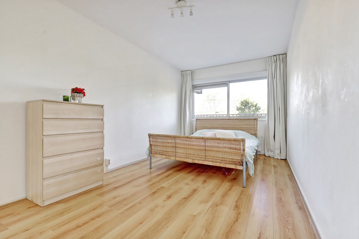 Photo 5 of Grote Beer 19